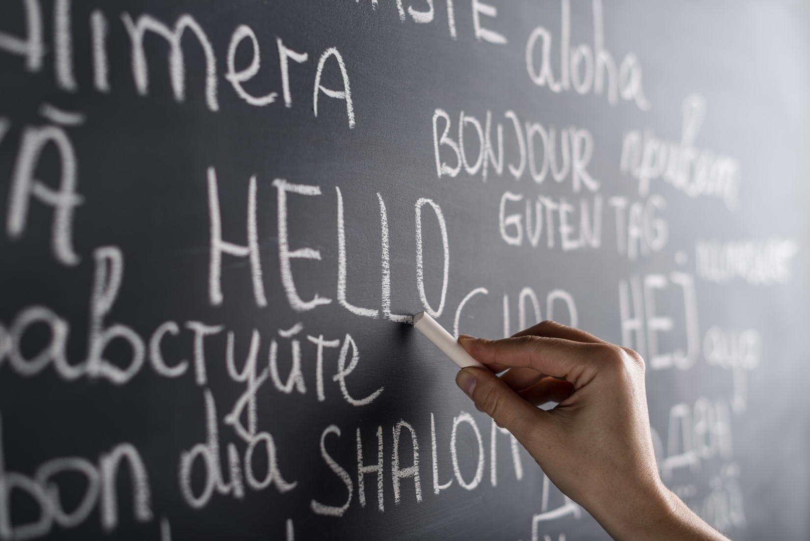 Your Language, My Language (Level 1)